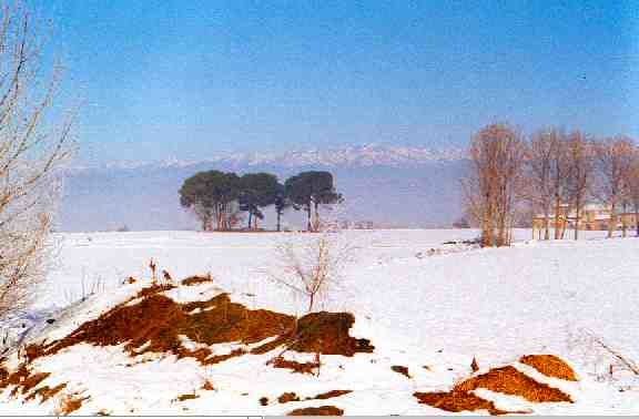 Schneelandschaft.jpg