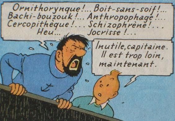 tintin rencontre capitaine