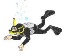plongee24.gif