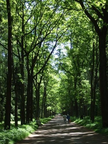 Pavlovsk