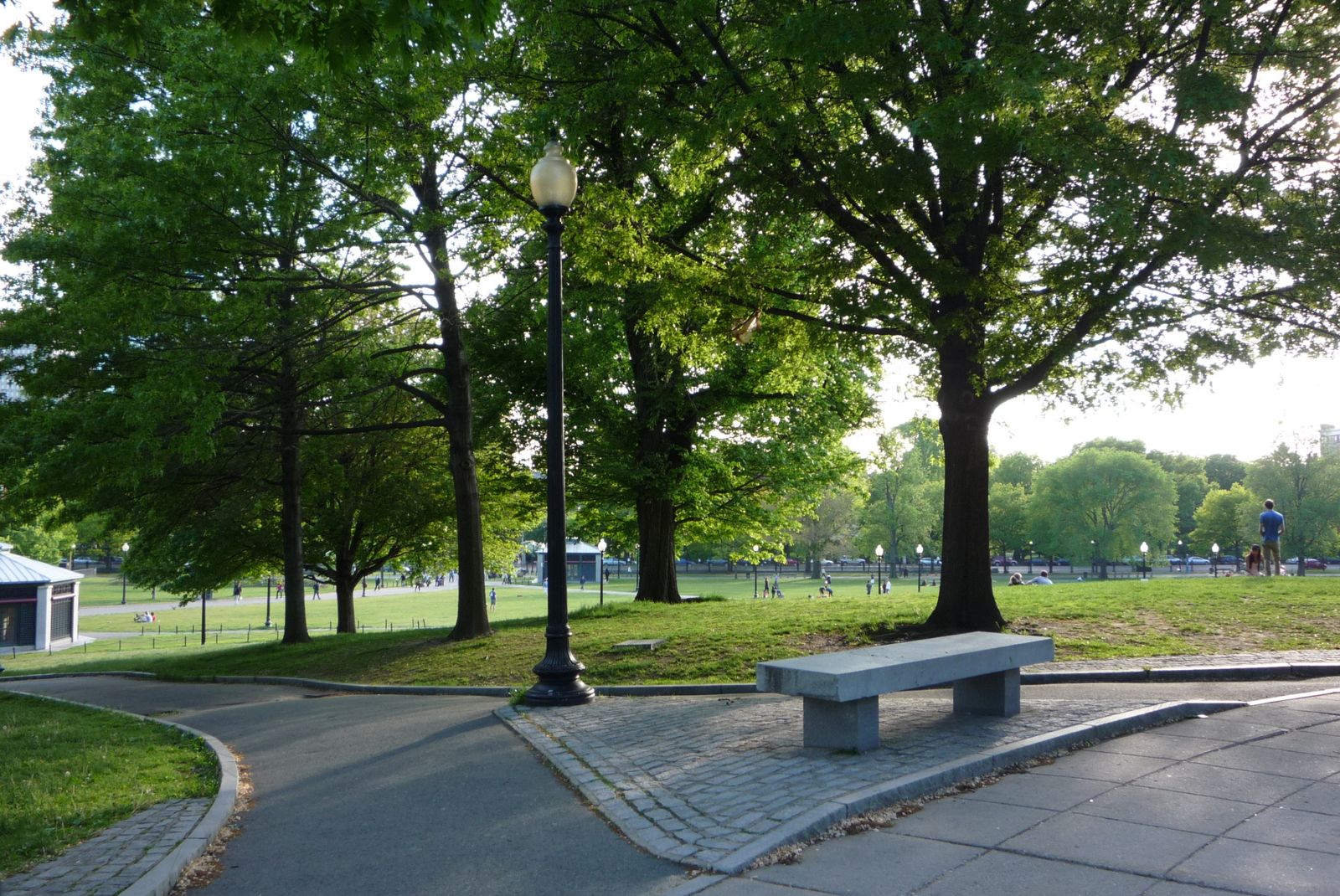 Boston Common Boston Common