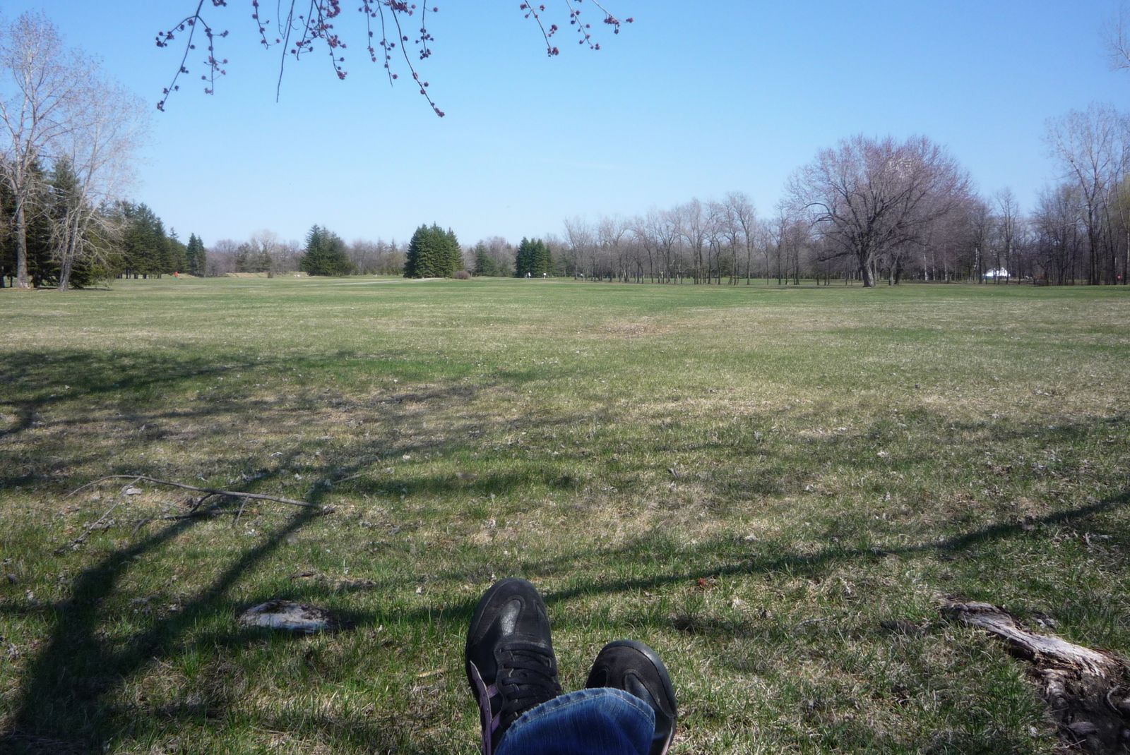 Parc de Maisonneuve Parc de Maisonneuve
