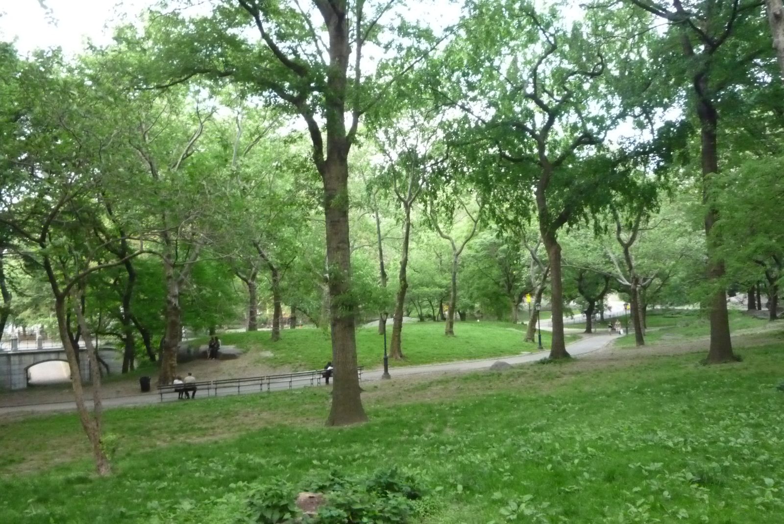 Central Park Central Park