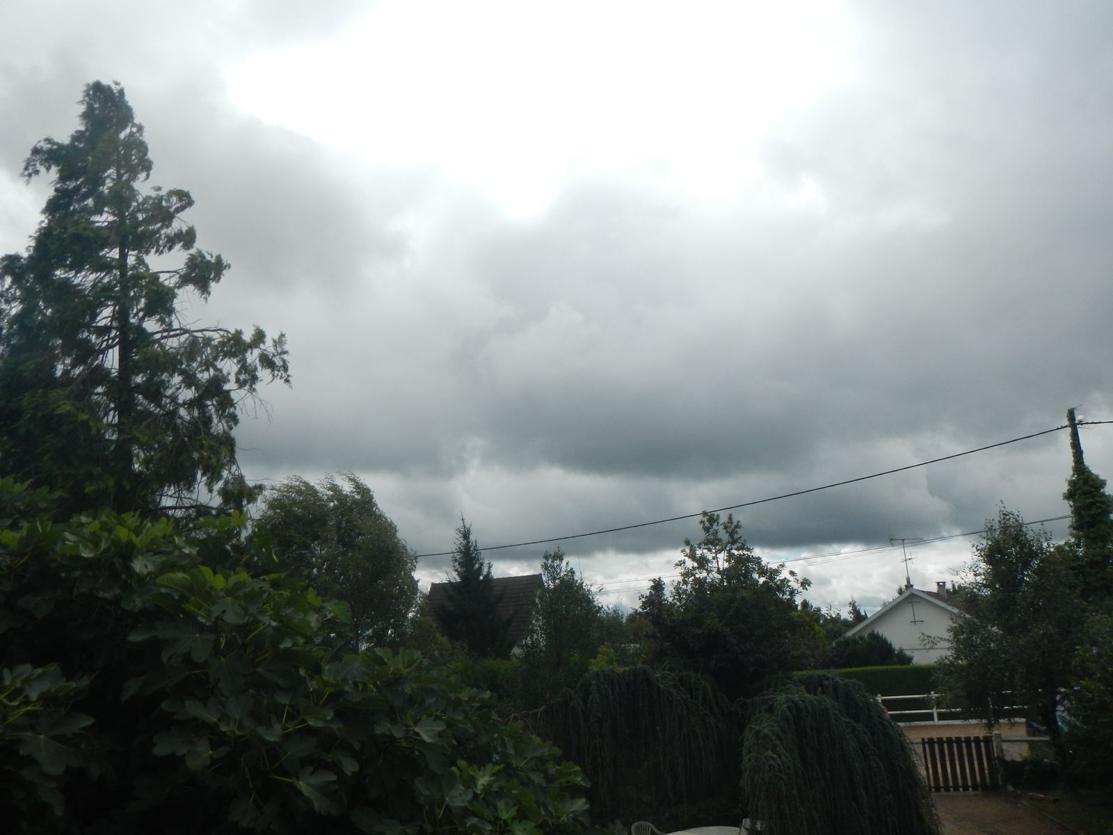 DSCN2112.JPG