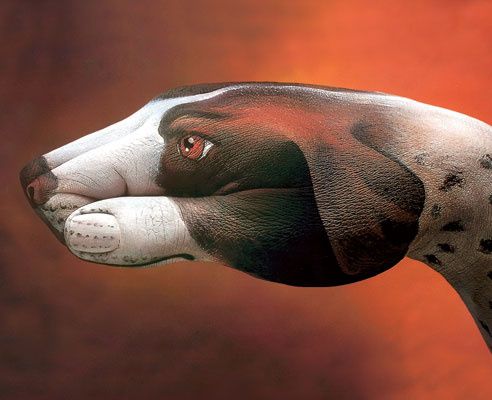 Guido Daniele 1