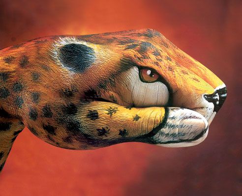 Guido Daniele 2