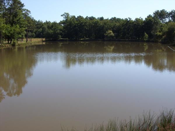 Les revues sur la pêche 2012
