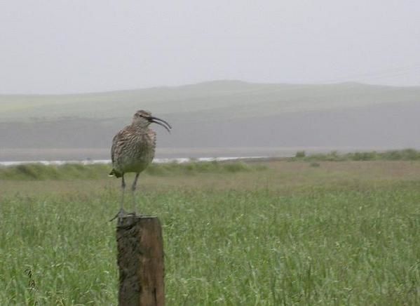 rencontre islande