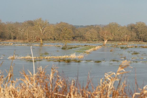 Marais Audubon Audubon1 09012010