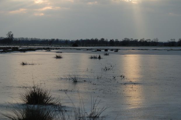 Marais Audubon Audubon9 09012010