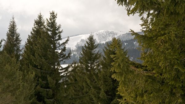 DSC7946