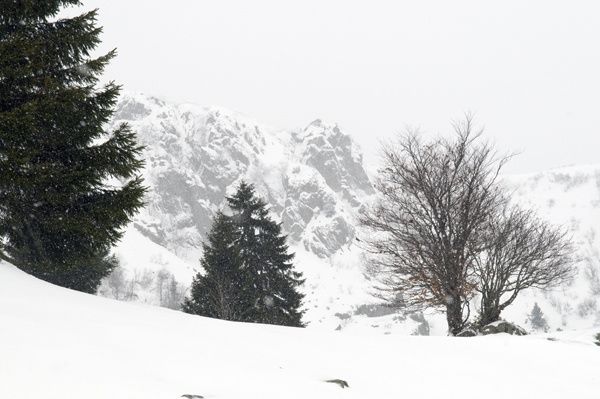 _DSC7974-copie-1.jpg