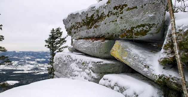 DSC4557