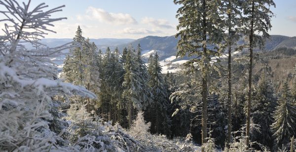 grand brezouard-1