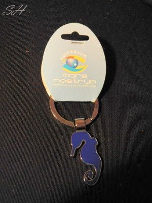 porte clé métal bleu