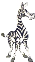 animaux-zebres-00004