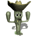 cactus chapeau