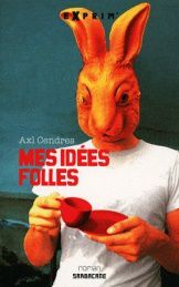 Mes-idees-folles.jpg