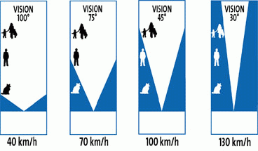 Shéma de champ de vision à différentes vitesses : 40, 70, 100 et 130 km/h