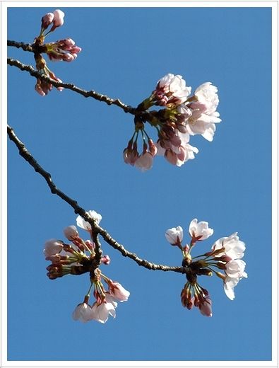 fr20100329-3
