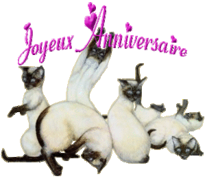 IMAGE(<a href="http://idata.over-blog.com/2/19/49/17/la-famille-de-nounou-chats/1-an-harley.gif" rel="nofollow">http://idata.over-blog.com/2/19/49/17/la-famille-de-nounou-chats/1-an-harley.gif</a>)