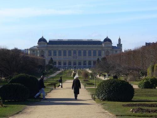 Jardin des plantes, Muséum d'Histoire Naturelle et minaret de la mosquée de Paris