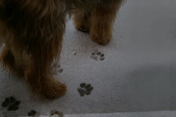 schnee5.jpg