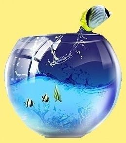 null divers liberte 00 art 10