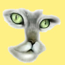animal chat futur 00 art