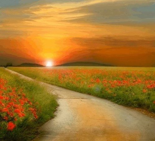 saison-printemps-coquelicot.jpg