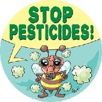 societe civile abeille pesticide