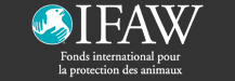 societe civile ifaw