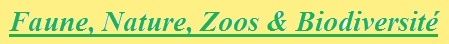 societe civile faune, nature, zoos