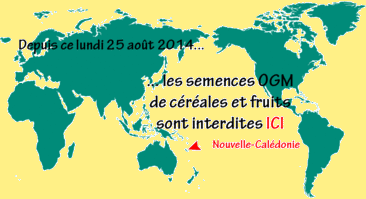 societe-civile-stop-ogm-nouvelle-caledonie--00-art.png