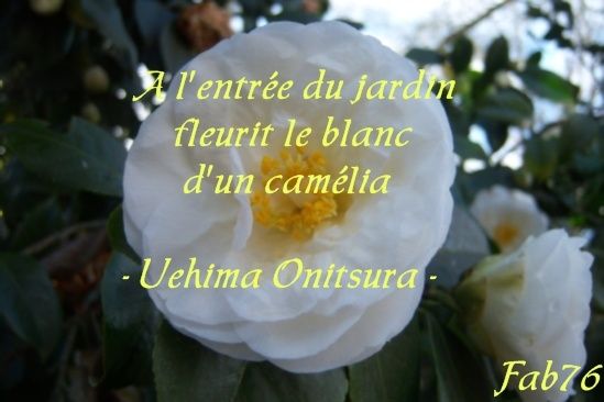 Haïkus de printemps pour le plaisir  BONHEUR DE LIRE