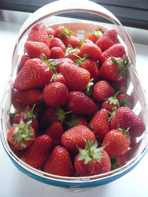 Tarte aux Fraises, crème mousseuse au mascarpone Midori dans sa cuisine !
