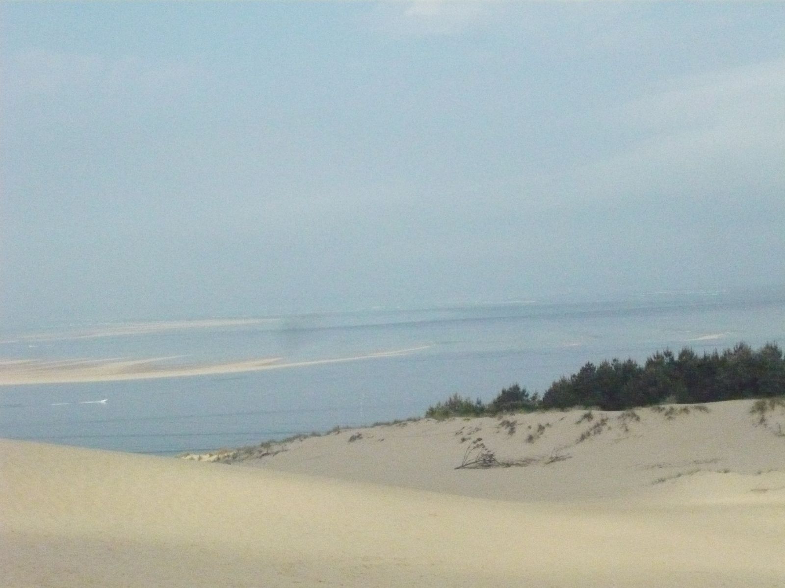 Arcachon et ses plages Midori dans sa cuisine !