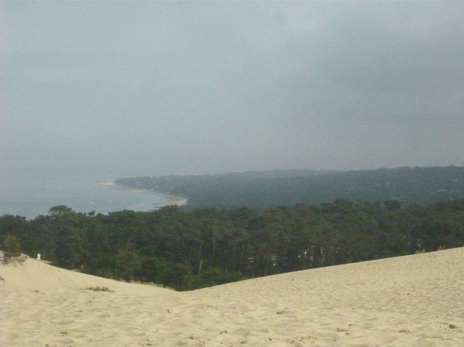 Arcachon et ses plages Midori dans sa cuisine !