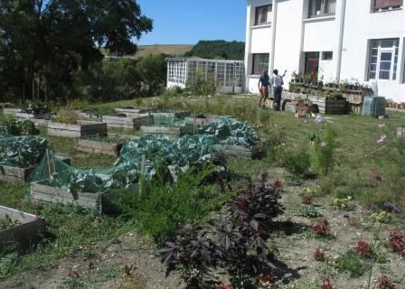 jardin-0045-copie-1.JPG