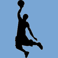 logo basket