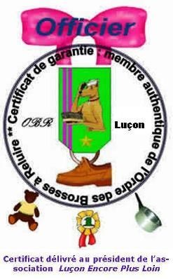 brosseareluire.jpg