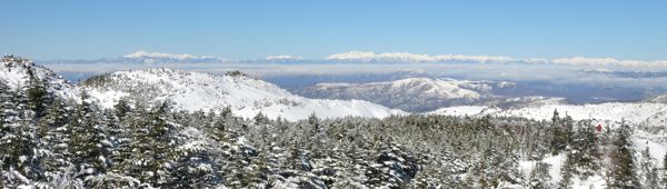 new-0529-blog.jpg