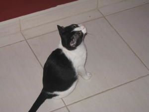 rencontre pres de chez moi