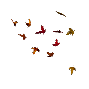 feuilles.gif