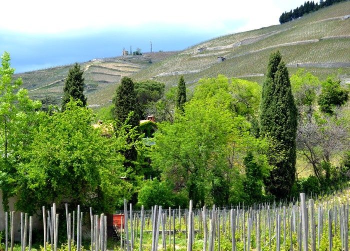 sud-2012 0459