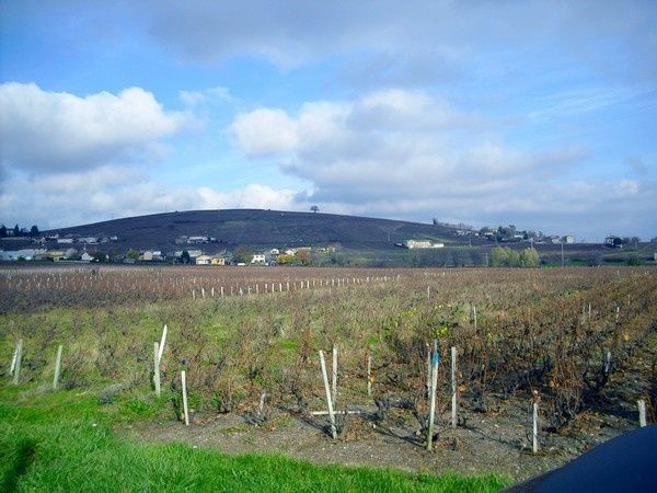 p 002-copie-1