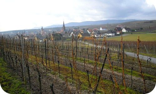 Photo 004