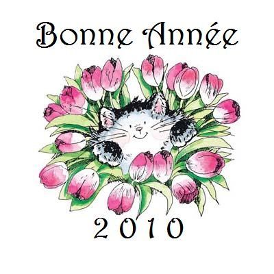 Bonne-Annee-2010.jpg