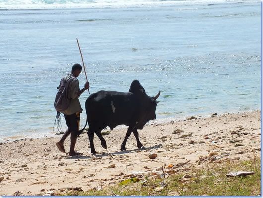 antalaha4