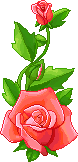    fleur--34-.gif